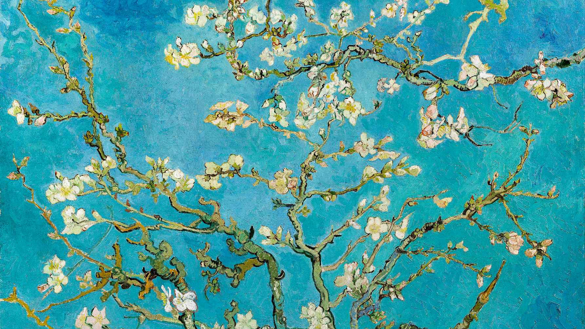 maradji-cover-bottom